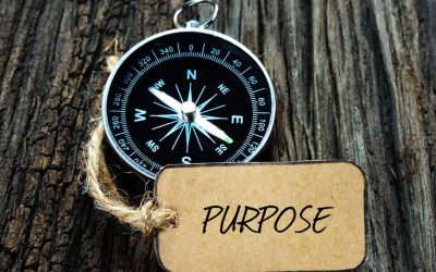 The Power of Purpose and How Team Building Activities can Enhance It
